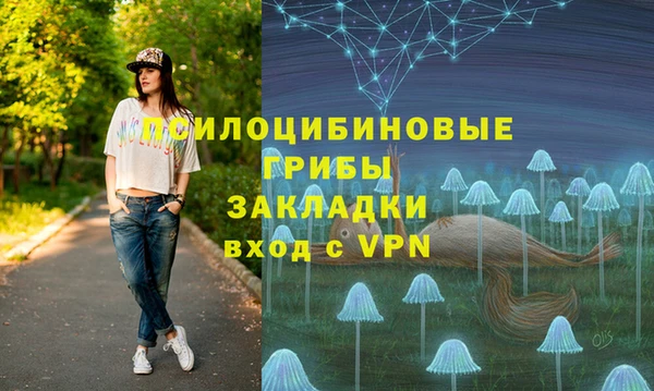 ешки Костерёво