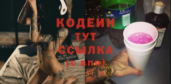 крисы Корсаков