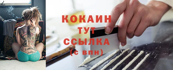 гашик Коряжма