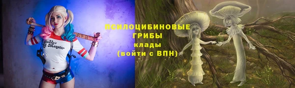 ешки Костерёво