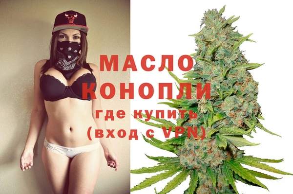крисы Корсаков