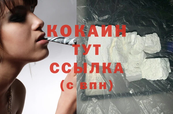 крисы Корсаков