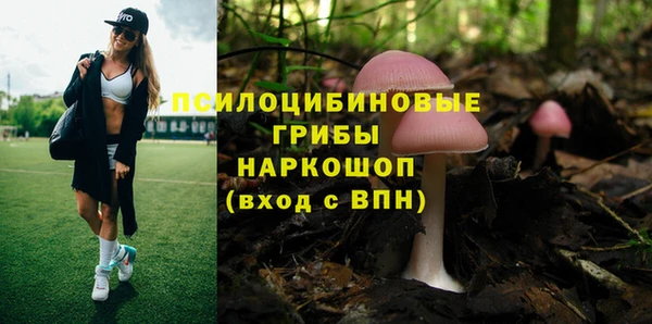 трава Кинешма