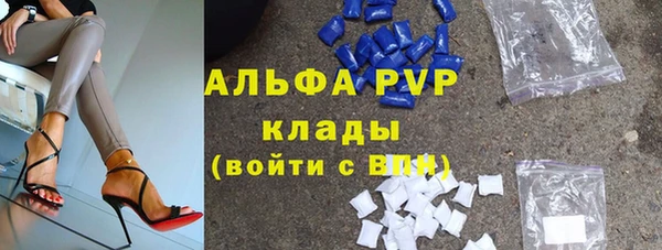 крисы Корсаков