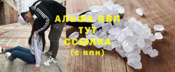 гашик Коряжма