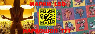 прущие грибы Обь