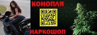 гидра Беслан