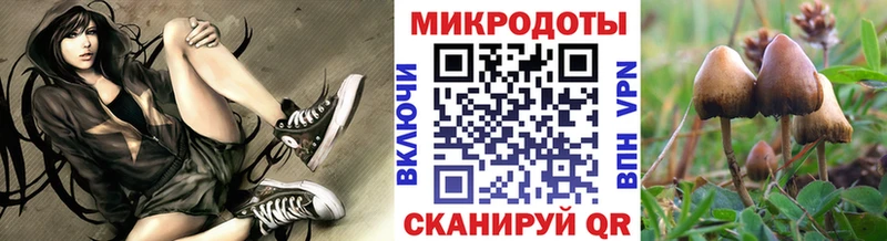 Галлюциногенные грибы мицелий  Липецк 