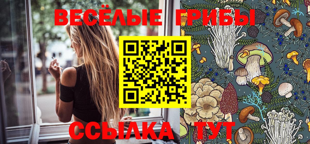 Липецк  Псилоцибиновые грибы прущие грибы  Вход с VPN 