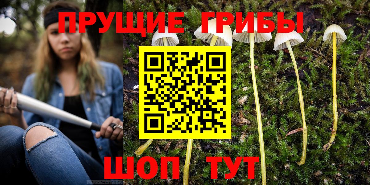 Галлюциногенные грибы Cubensis  Липецк 